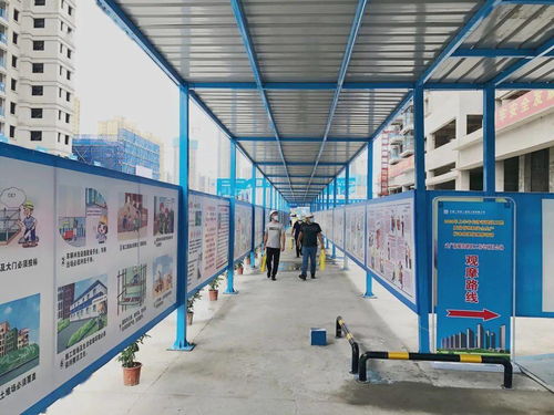 高顏值，高標準——公司武廣新城項目成功承辦長沙市附著式升降腳手架觀摩會